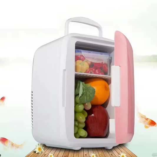 4L Mini Car Refrigerator Electric Cooler Warmer
