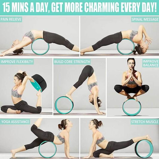 Professional Yoga Wheel
