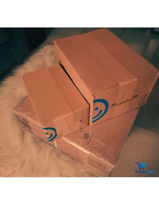 The Journey to Launching TroveoCart