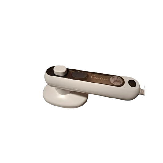 Travel Size Mini Electric Iron